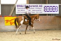 32-APHA AWHS_003